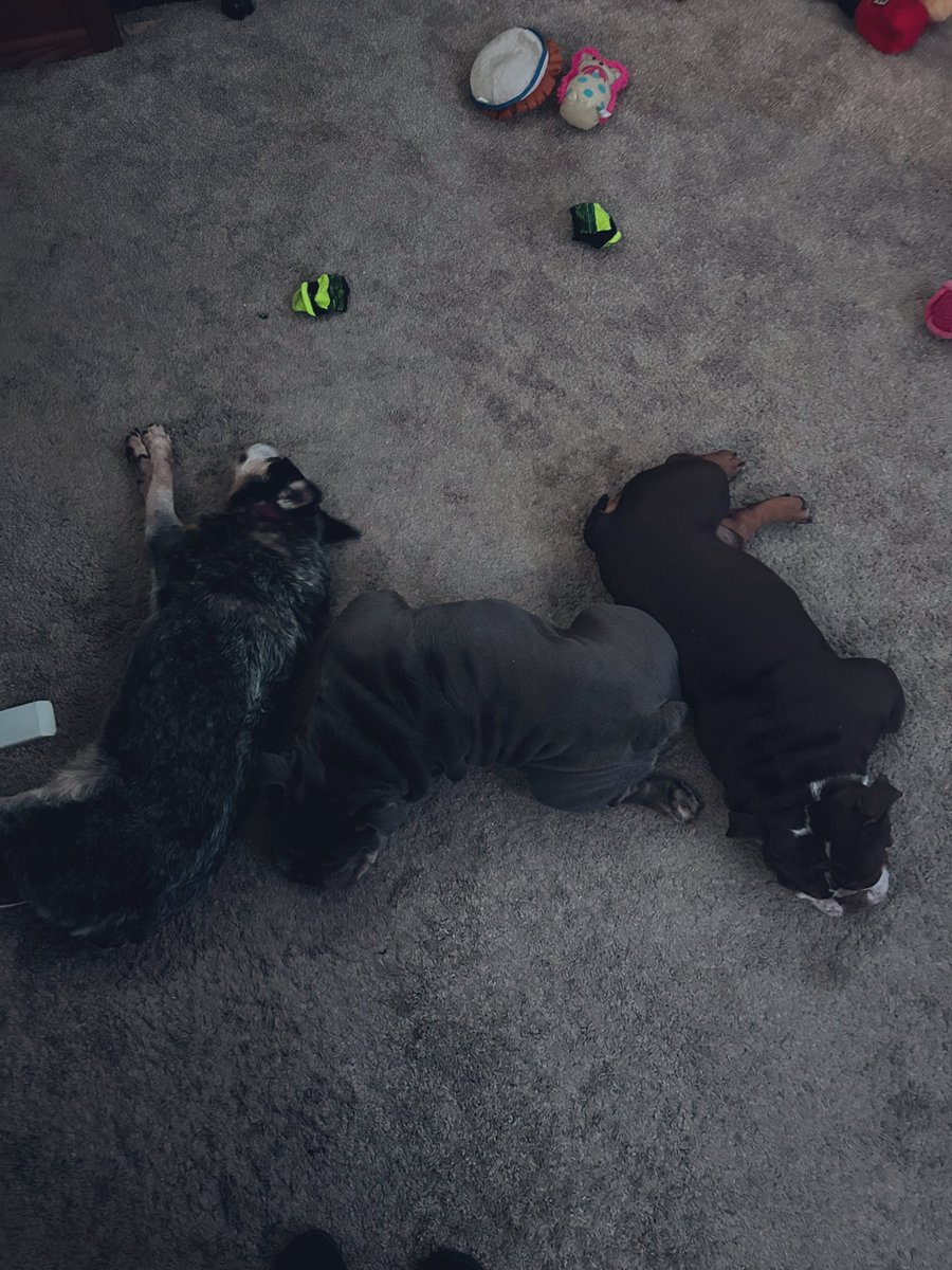 MyBestFriend tweet media