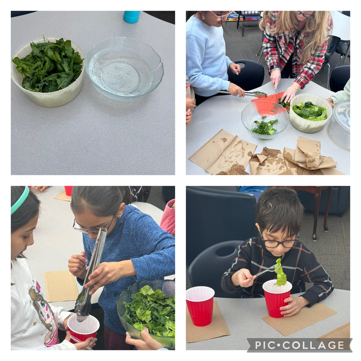 From tower to table.  The grade 3 plant exploration is complete.  So much excitement, so much learning and who doesn’t love to eat their culminating product. <a href="/peel21st/">Empowering Modern Learners @ PDSB</a> <a href="/PeelEML/">PeelEML</a>