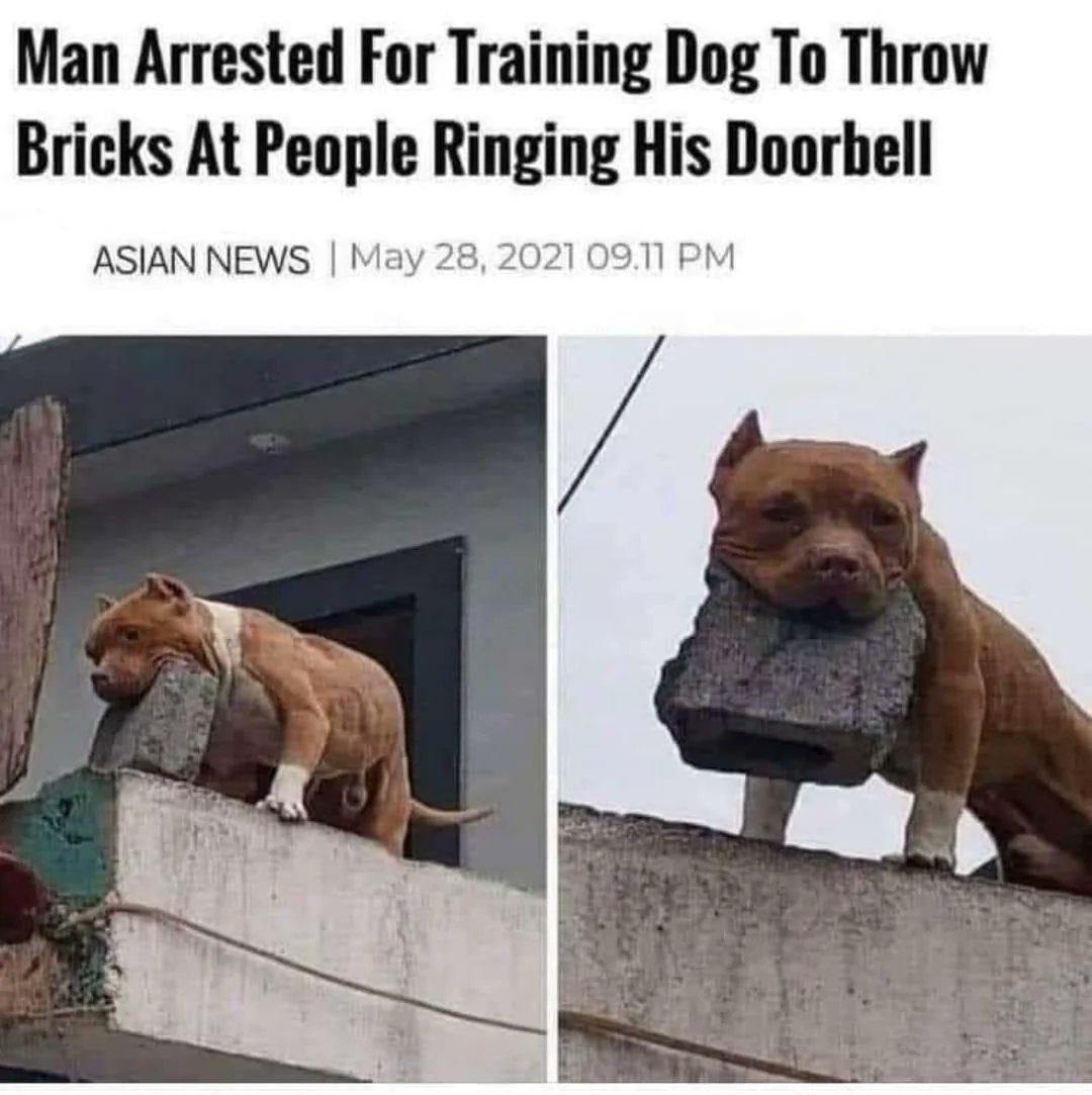 fella requests tweet media