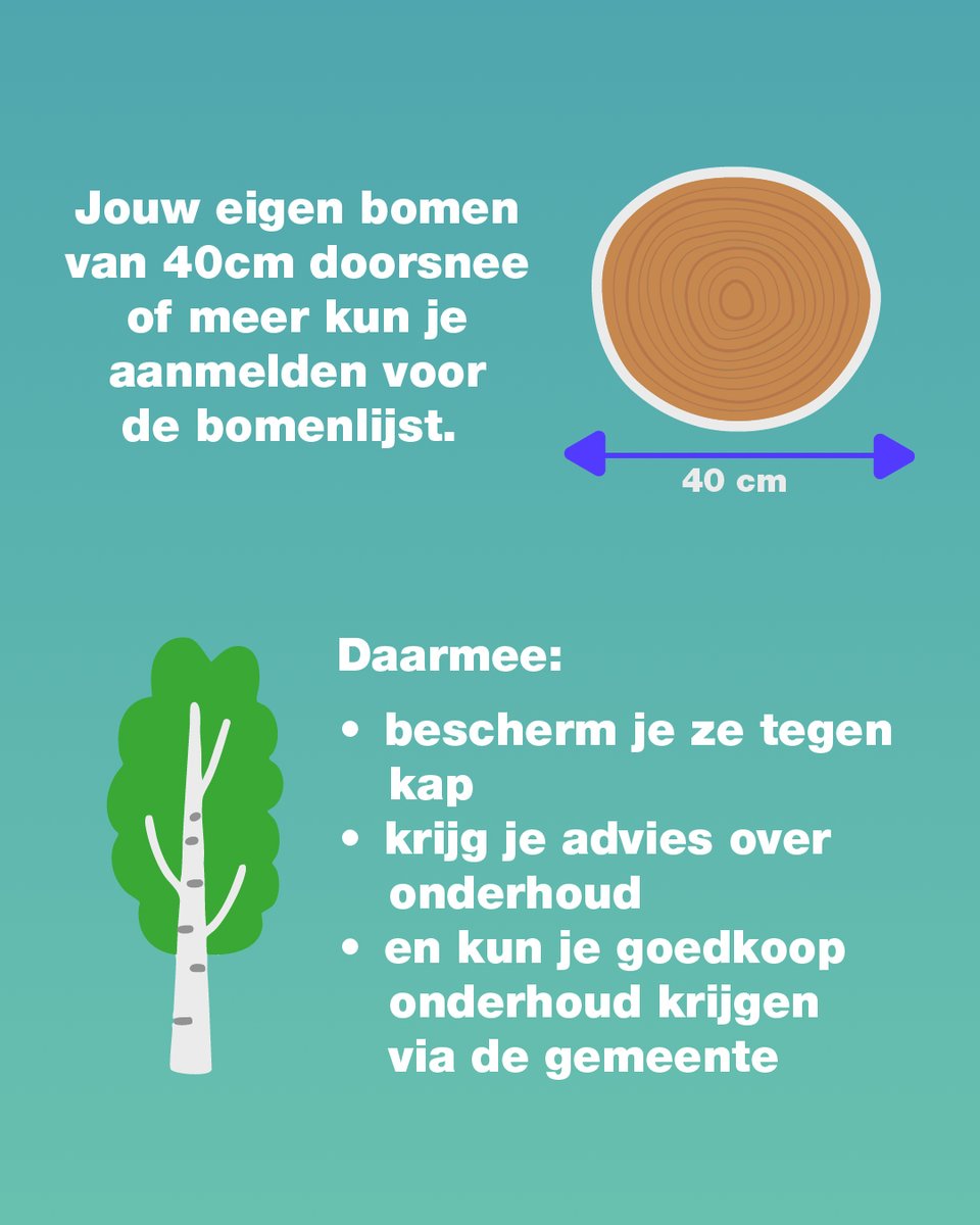We zijn supertrots op het nieuwe bomenbeleid van onze wethouder Antoinette Maas

Hier zie je de belangrijkste punten uit het beleidsplan 

Meer weten? 👇
groenlinkspvda.nu/nieuws/bomen-b…