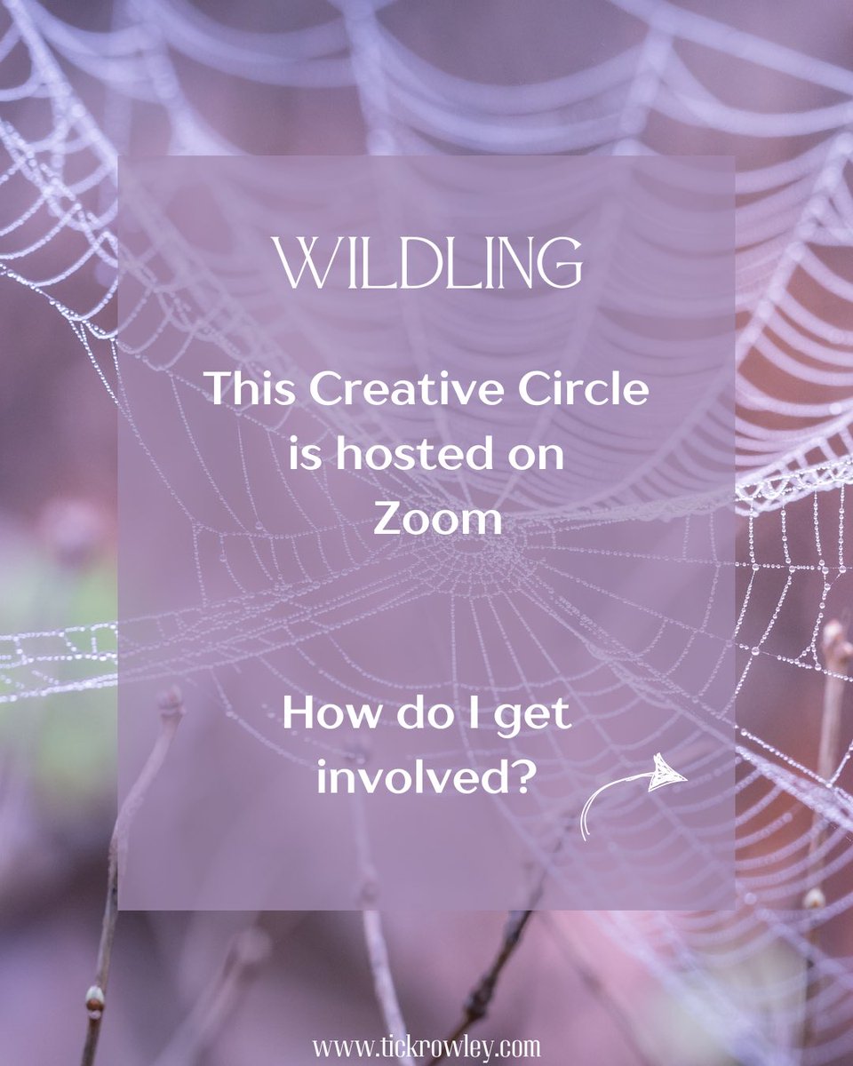 Tick Rowley tweet media