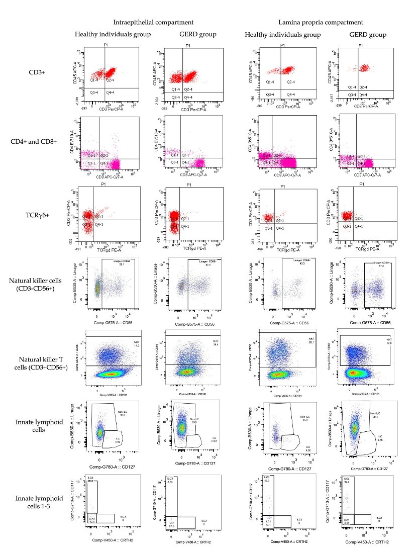 3/ Key findings:
 ✅ Healthy individuals had lower duodenal intraepithelial lymphocyte (IEL) counts than patients with gastroesophageal reflux disease (GERD) (15 vs. 19.5 per 100 enterocytes, p = 0.004).
 ✅ CD4+ T cells decreased (p = 0.008) &amp; CD8+ T cells increased (p = 0.014)