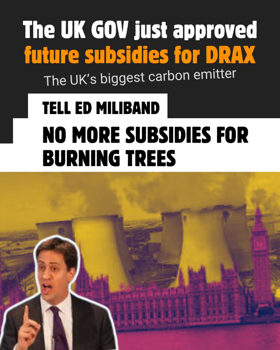 Stop Burning Trees tweet media