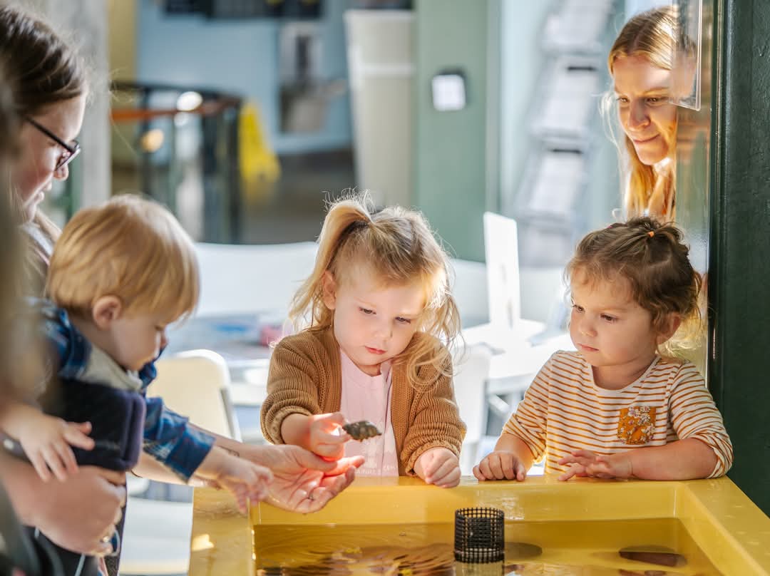 NEW TODDLER TIME afternoon time slot added for March 20 &amp; April 10 dates!

🦈 March 20 - sharks - Morning FULL; 🤩 NEW 1-3 pm time slot available 🤩

🦀 April 10 - crabs - Morning FULL; 🤩 NEW 1-3 pm time slot available 🤩

Book your registration here: fareharbor.com/embeds/book/hu…