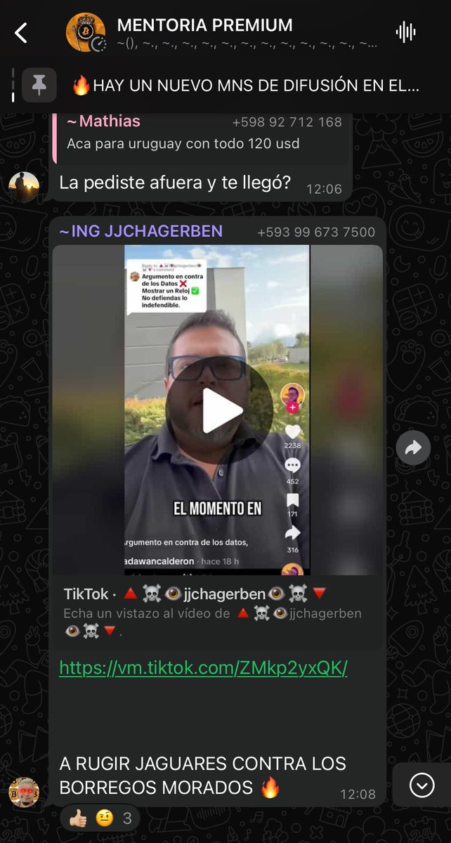 🔴 EL EJÉRCITO DE BORREGOS DE JJCHAGERBEN
Uno de sus alumnos e inversor de la bolsa llamado PADAWANCALDERON lanza una opinión política e inmediatamente tu mentor #JJCHAGERBEN se enoja e incita a sus alumnos a “atacar” al “Borrego Morado”. Un estudiante opina lo contrario y…
