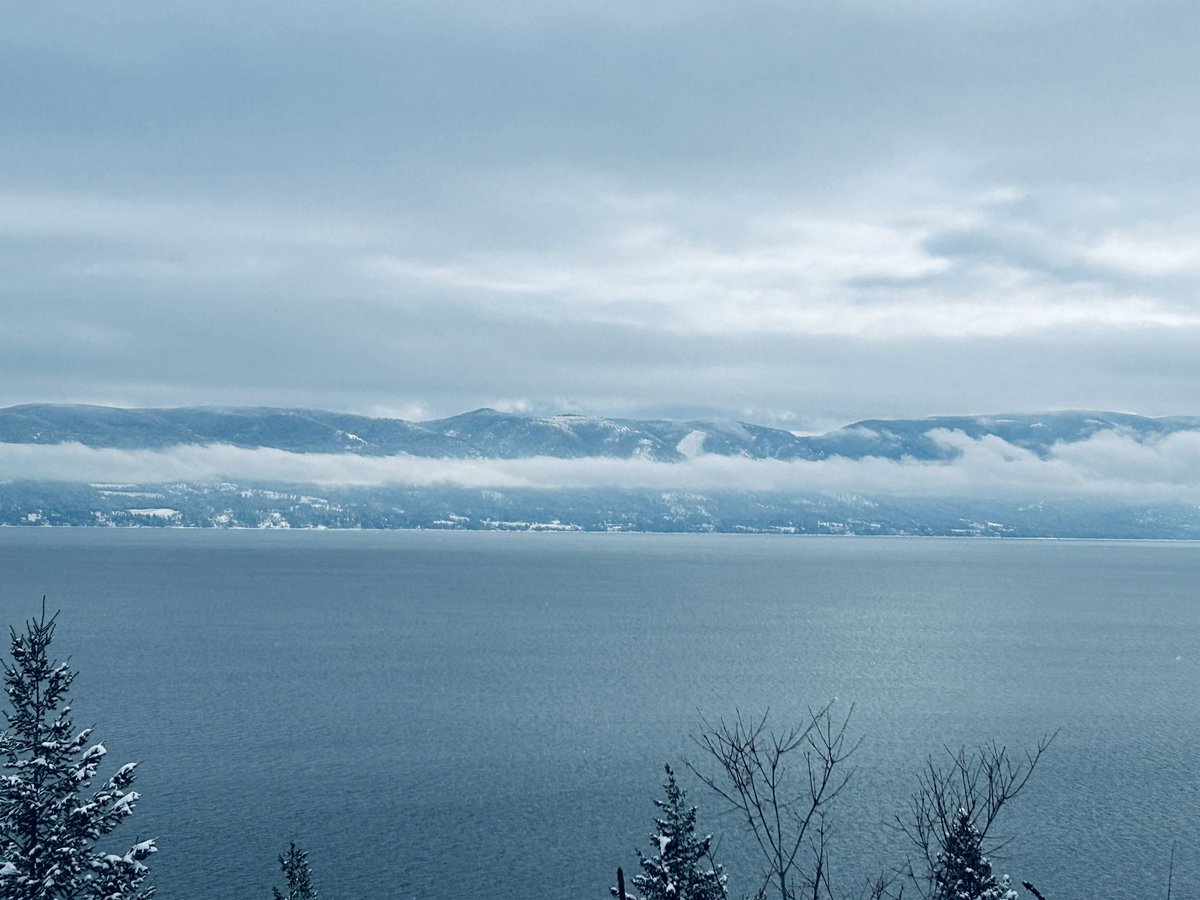 DominaVontana's tweet image. When the ones you love put you under attack redirect redirect redirect. Remind me them they are the one in control. Assert their autonomy/responsibility. Then take a break. Cabins great. #Selffirst. Not selfish. No ones gonna trigger me during my midwinter wonderland vaykay 😏