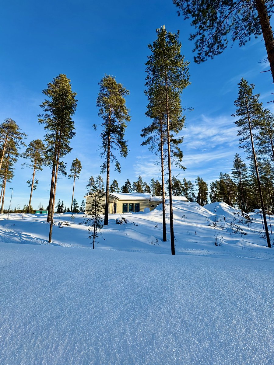 oltsari's tweet photo. Pitihän se käydä testaamassa, että tuliko sitä rakennettua talo oikein päin 😂 

ja jos helmikuussa takapihalle molottaa jo näin hyvin, niin voi huokaista helpotuksesta! 💪 https://t.co/a9HrAIQZSx