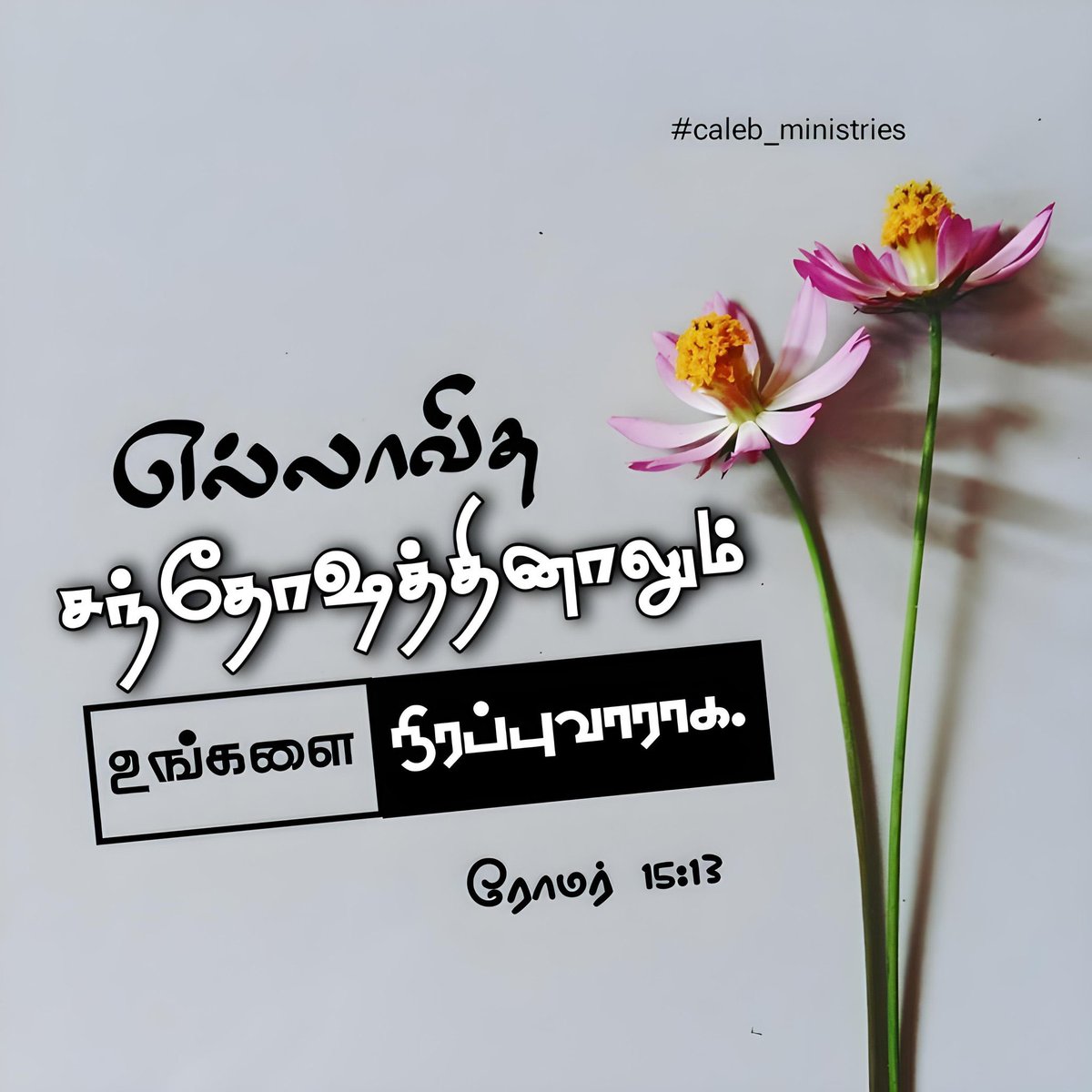 jesuswords01's tweet photo. https://t.co/Qgm8ToIZcG