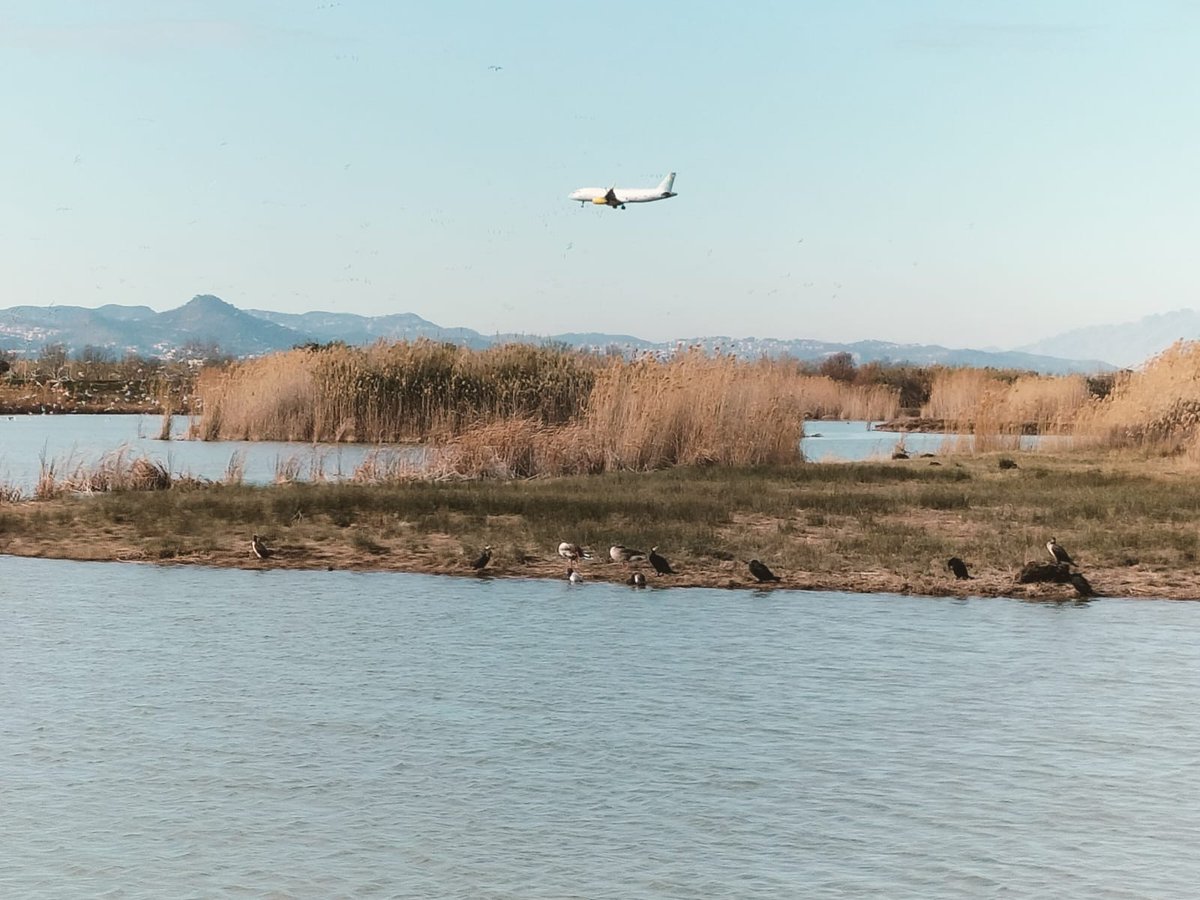 Divendres passat els alumnes de Gestió de Projectes i Avaluació d'Impactes del #MàsterdelAiguaUB van explorar impactes ambientals sobre vector aigua a diferents indrets del Baix Llobregat i el Delta del Llobregat