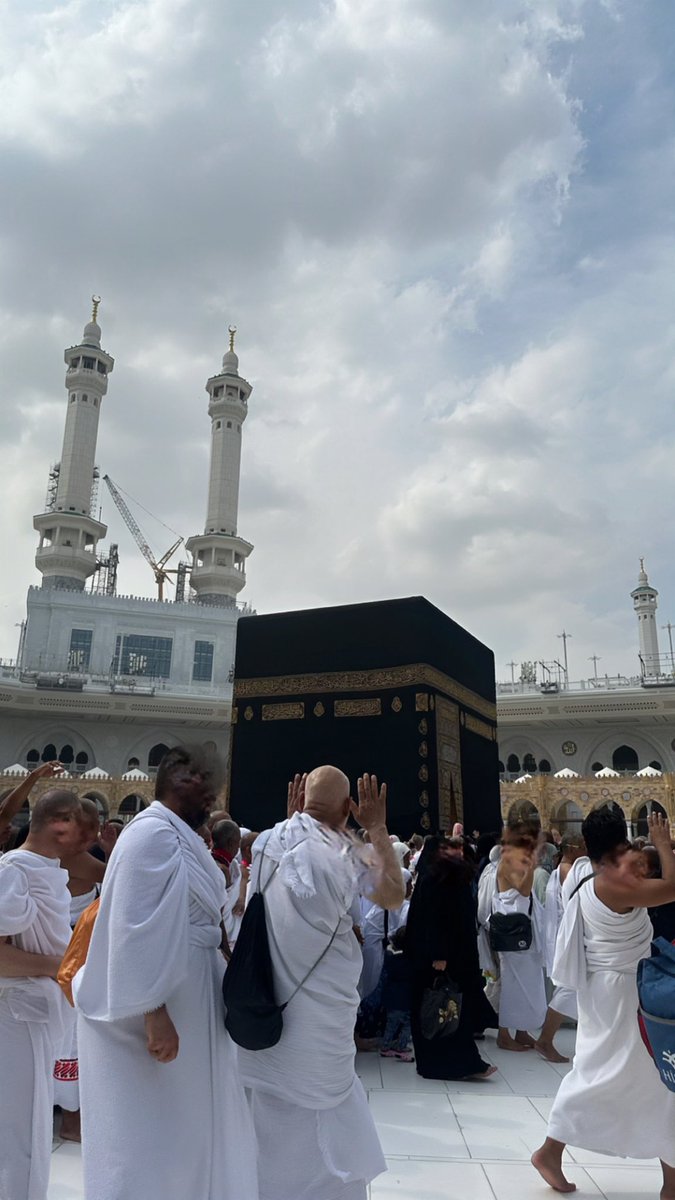 رينو! tweet media