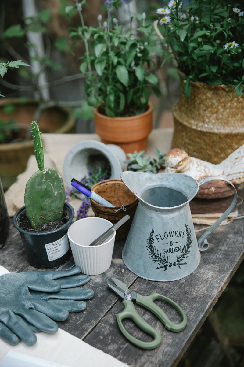 bloomhavenshop's tweet photo. 🌿 Keep it clutter-free! Store tools, cushions &amp; more with smart outdoor storage &amp; organization solutions. A tidy garden = a happy gardener! 😊 What’s your favorite garden storage hack?
🔹 Find space-saving solutions: https://t.co/pUp4w1vUDG
#GardenStorage #OutdoorHacks https://t.co/YEjCw8X2q3