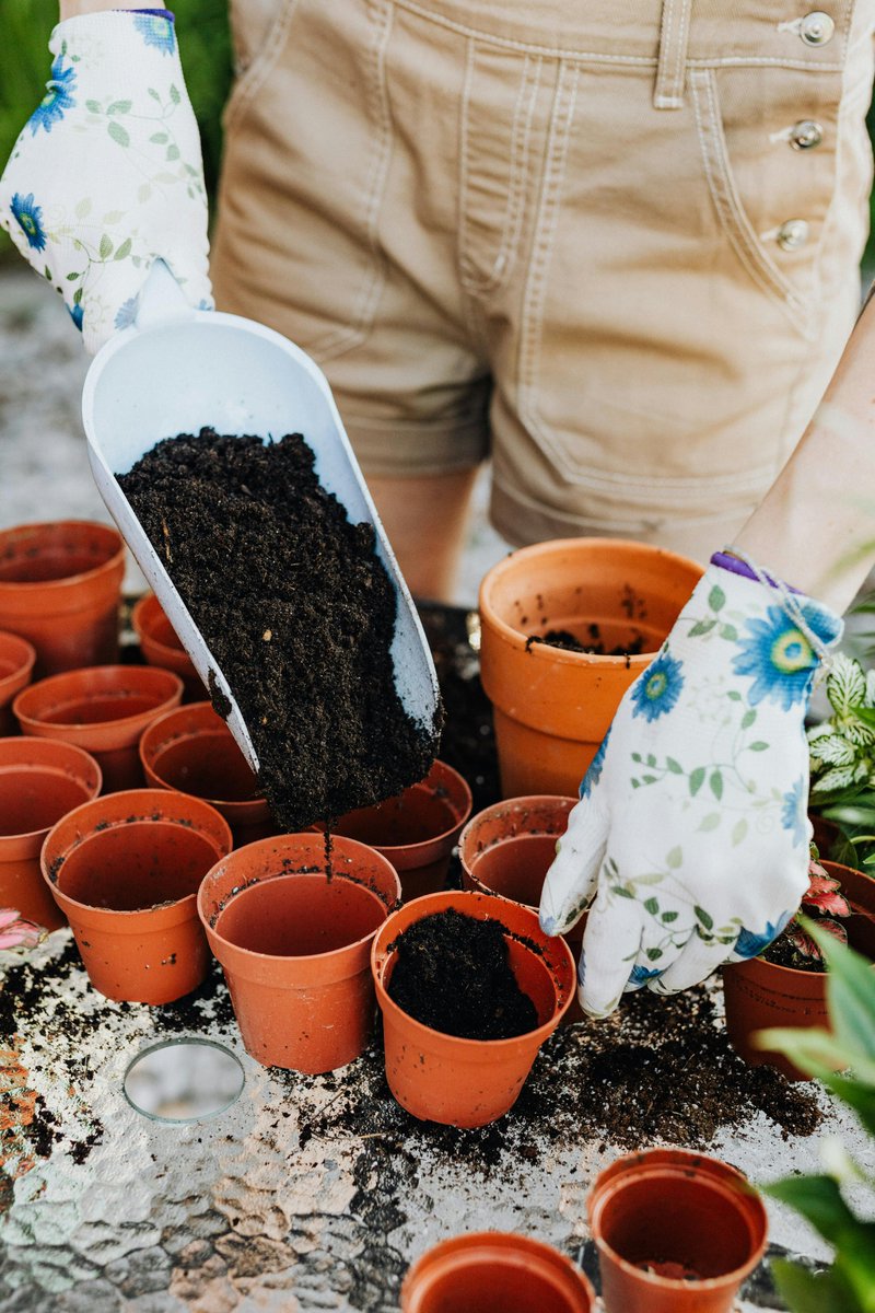 bloomhavenshop's tweet photo. Garden Lighting
🌟 A little glow goes a long way! Solar lights, lanterns, or fairy lights—what’s your favorite way to brighten up your garden at night? ✨
Find the perfect lighting here: https://t.co/pUp4w1wste
#GardenGlow #NighttimeMagic https://t.co/7IkTuc1z6c