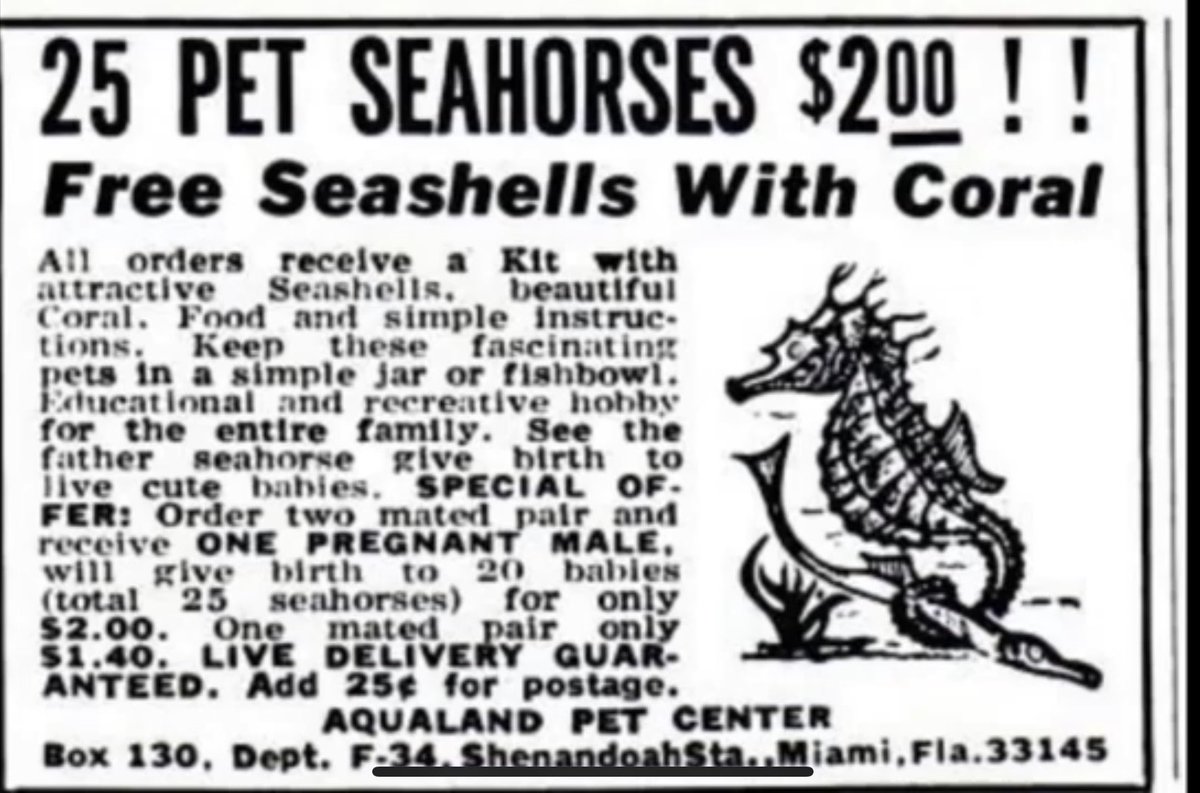 Ed of Legend 🎮 tweet media