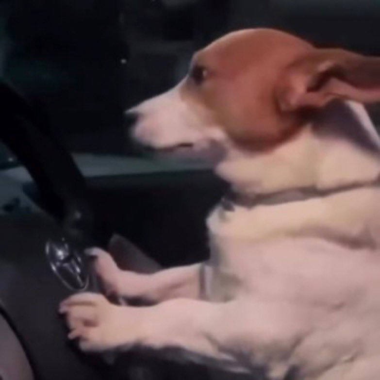 classybuck's tweet image. haven’t had my period in 5 weeks