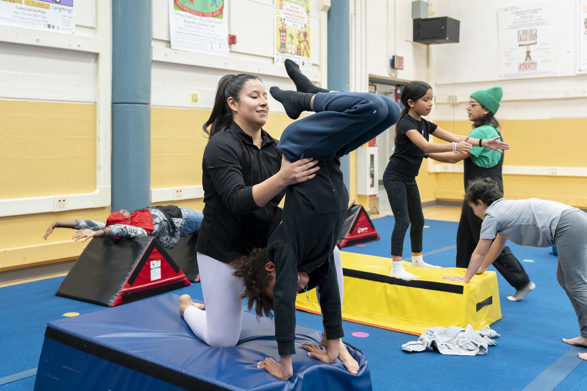 Fern Street Circus tweet media