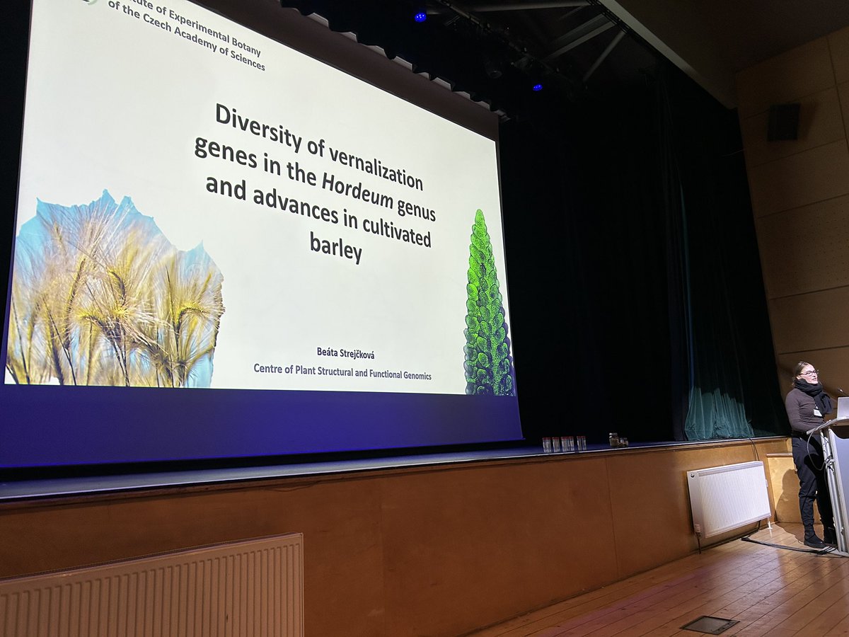 Beáta Strejčková <a href="/BeataStrejckova/">Beáta Strejčková</a> <a href="/UEBavcr/">ÚEB AV ČR</a> studies diversity of vernalization genes in the Hordeum genus which is a rich source of diversity  which can be used to advance cultivated barley #barleyad25