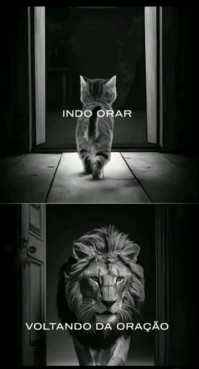 José Teles Proença Sobrinho (@proenca82911) on Twitter photo 