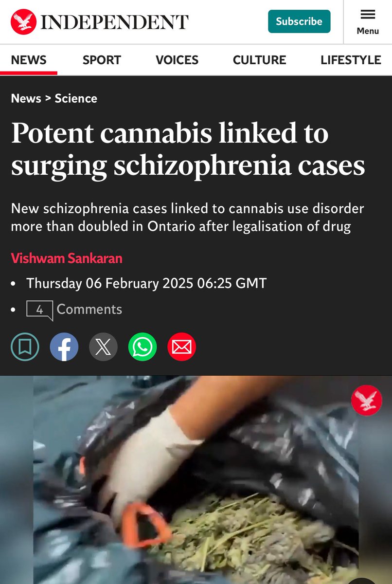 𝓑𝓸𝓫 𝓜𝓬𝓒𝓸𝓼𝓴𝓻𝓲𝓮 🇳🇿 tweet media