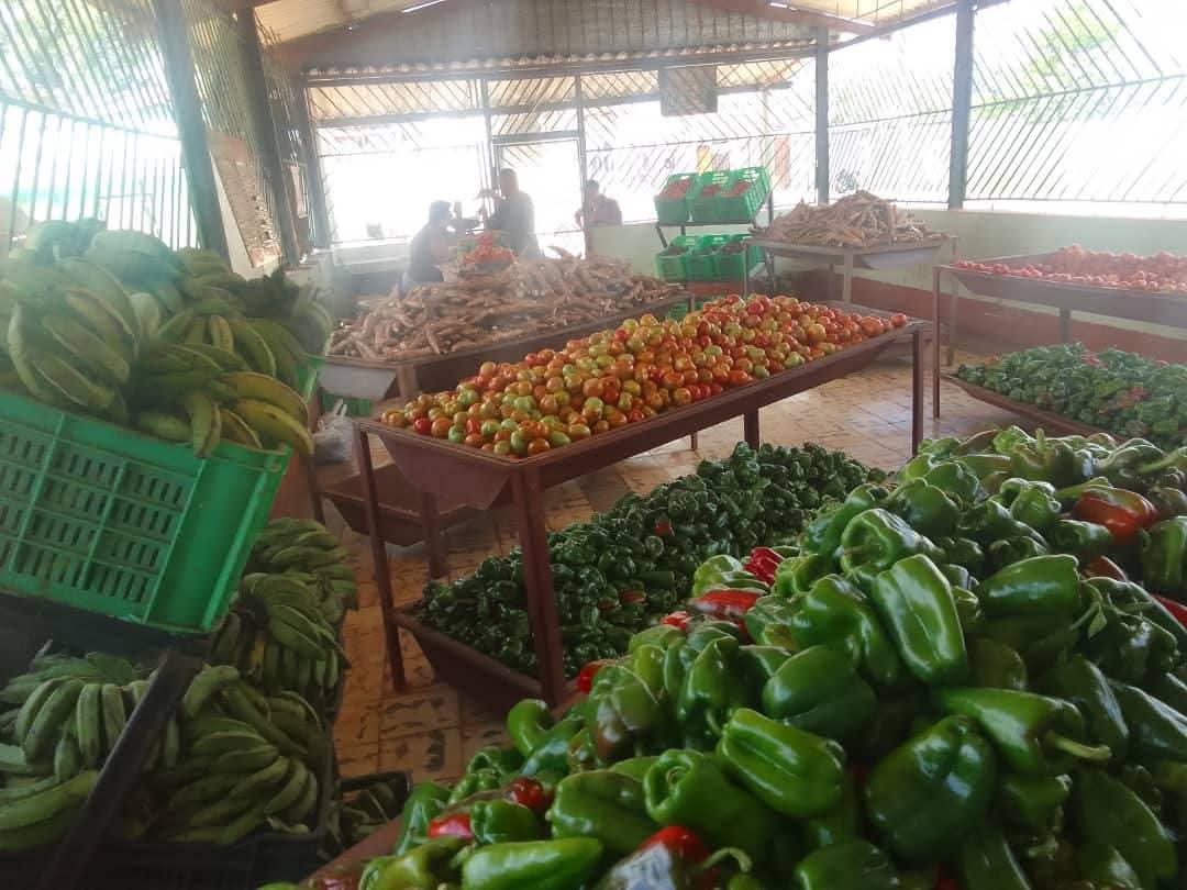 Mercados avileños muestran abastecimiento de diferentes productos para el pueblo.
#LatirAvileño 
#SinPerd