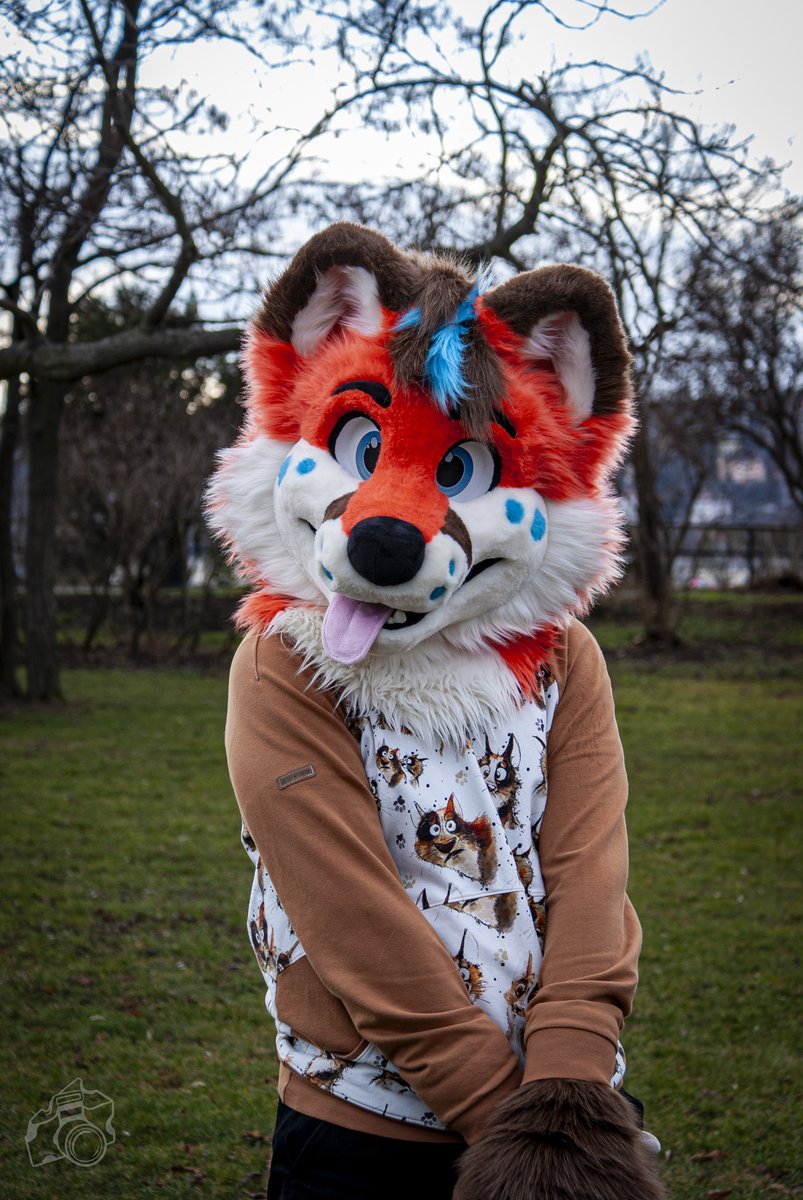 We made mischief at Vyšehrad!
#FursuitFriday 

📷 - <a href="/akkiefloofie/">Akkie ₍ₑₘᵣₑₑ₎</a>