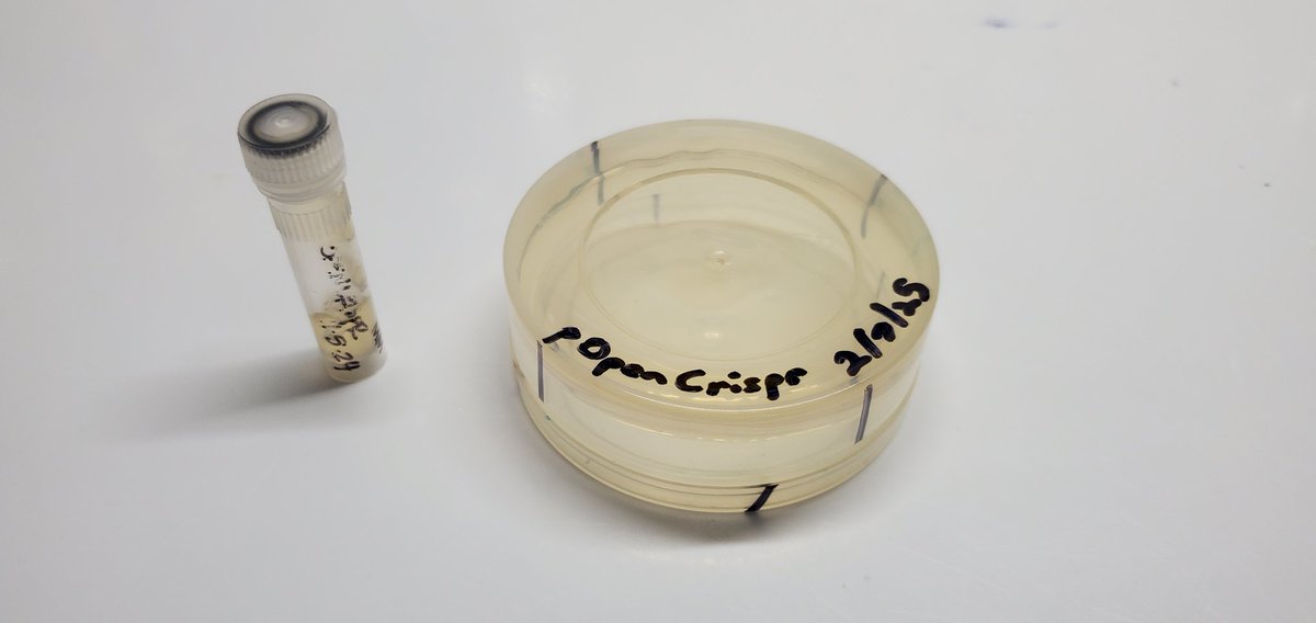 Sebastian S. Cocioba🪄🌷 tweet media