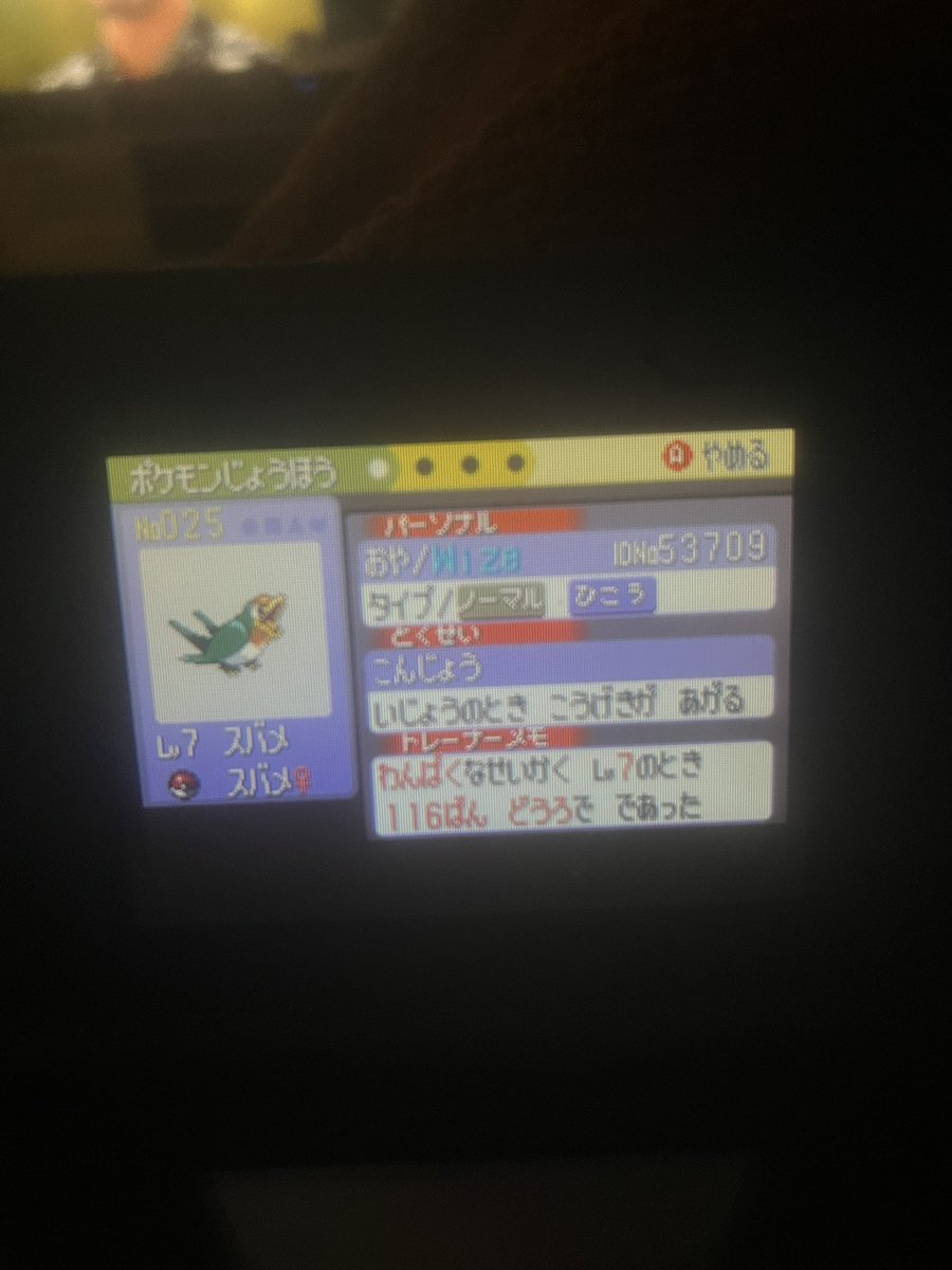 I really need to get a IPS Screen😂 better picture from my DS