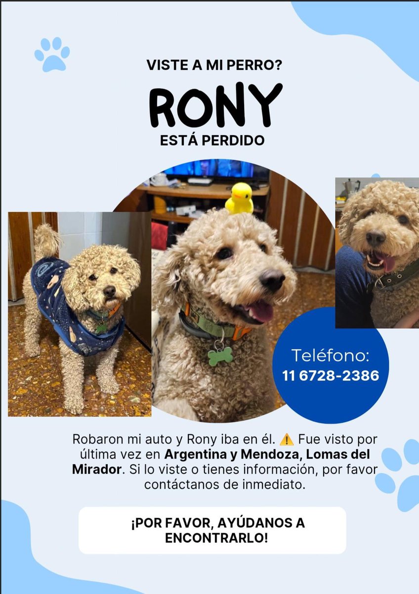 tronco's tweet photo. Ayer unos hijos de mil puta basuras de mierda en Lomas del Mirador asaltaron a los abuelos de @rodrisolfe le afanaron el auto con los dos perros uno se tiro y Rony quedo arriba y lo estan buscando, por favor ayuden a difundir para encontrarlo
Gracias https://t.co/7KKAzaRG2R