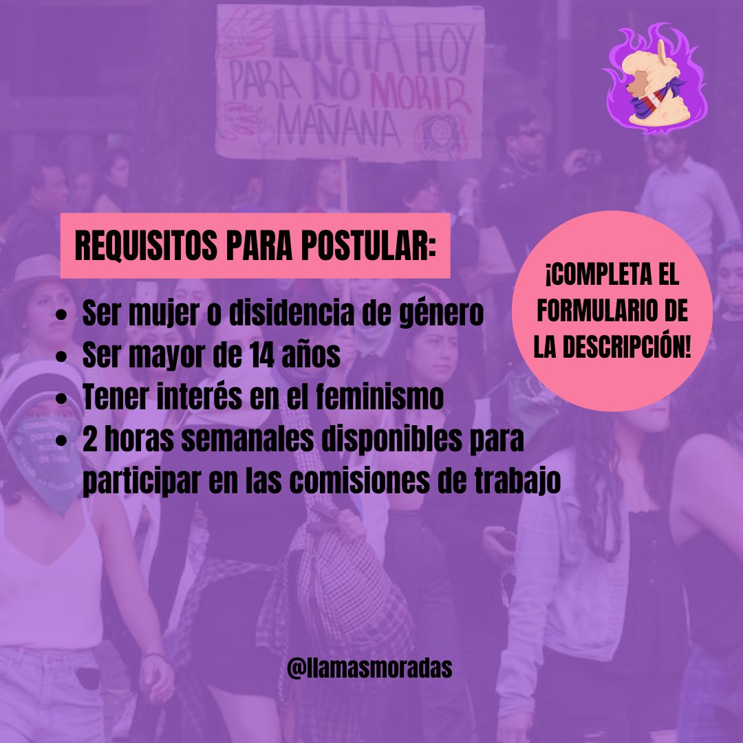 Colectiva Llamas Moradas #DinaAsesina tweet media