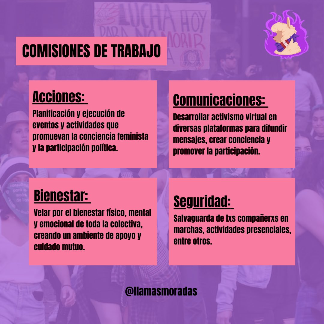 Colectiva Llamas Moradas #DinaAsesina tweet media