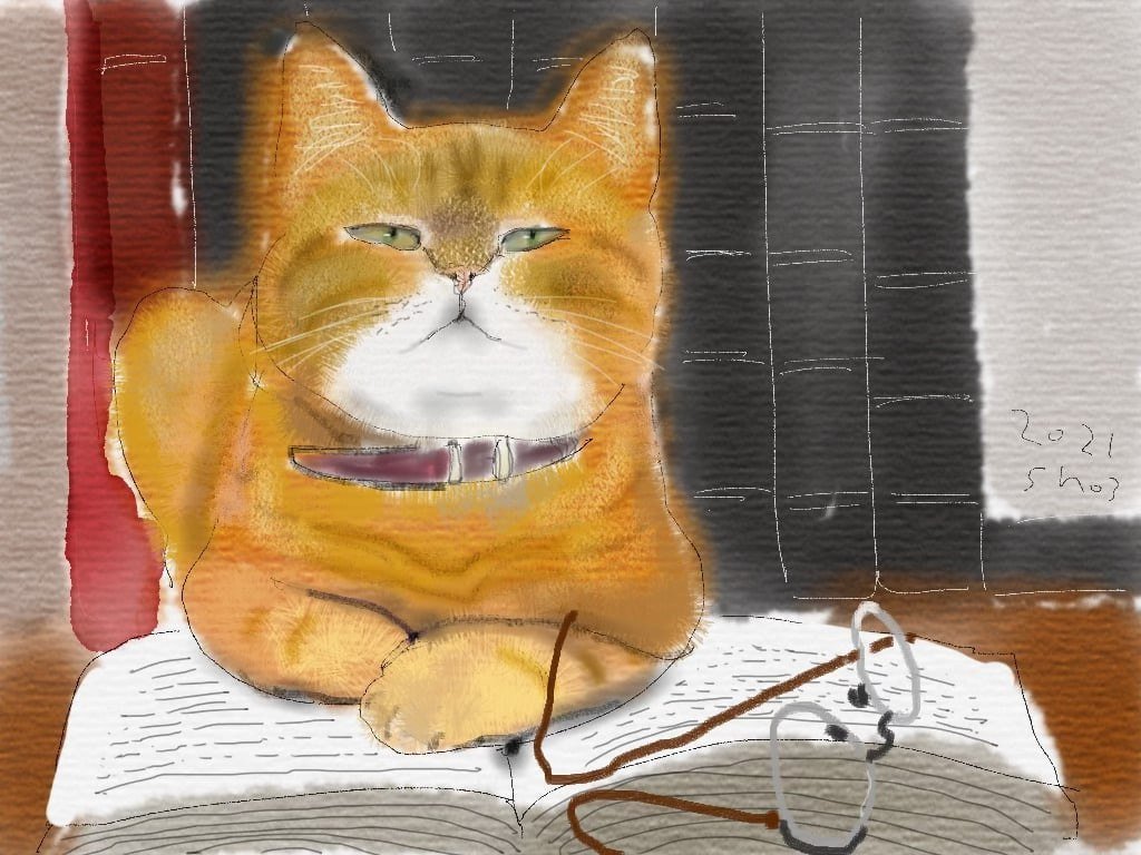 Shozo Ozaki
Ginger cat