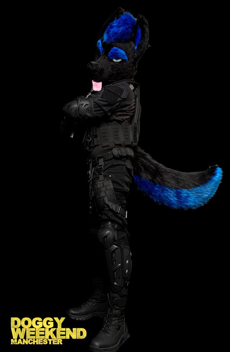 Still nothing but fluffy thoughts in this head👀👅 <a href="/doggyweekend/">DoggyWeekendUK</a>  <a href="/ObsessionismP/">Obsessionism Photography</a>