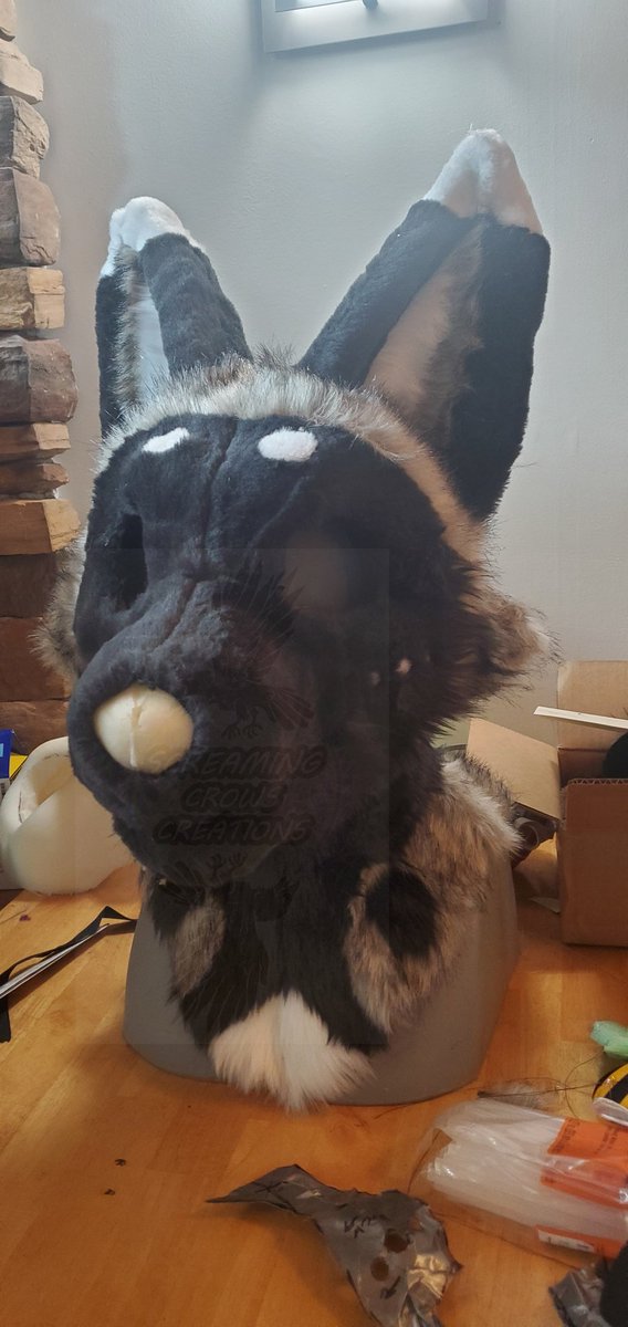 Here's a silver fox we're working on for #fursuitfriday !