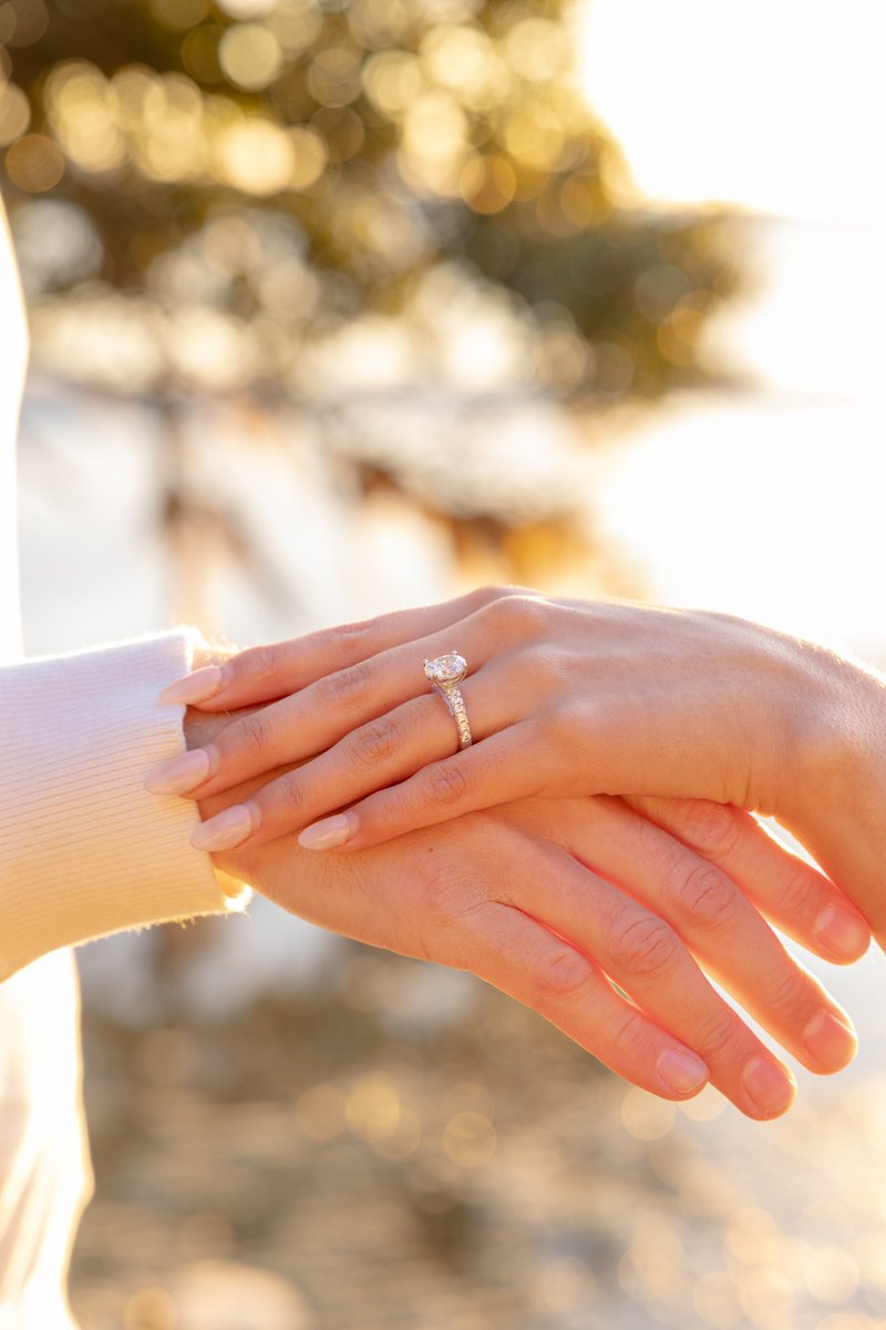 Matthew Pakula tweet media