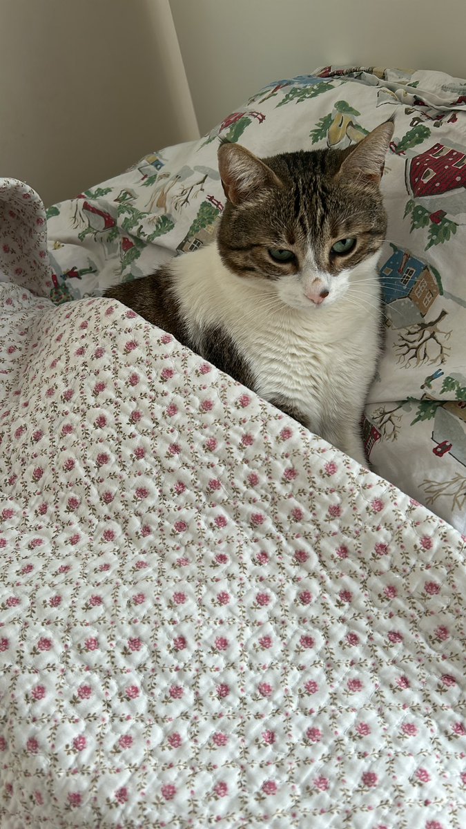 kim bilir ne overthinkliyosun kizim