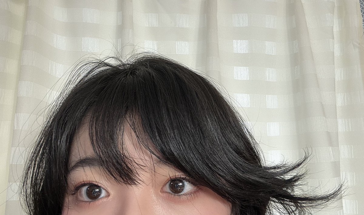 おはねす☀️
最近の寝癖風吹いてる……フィリップ？？