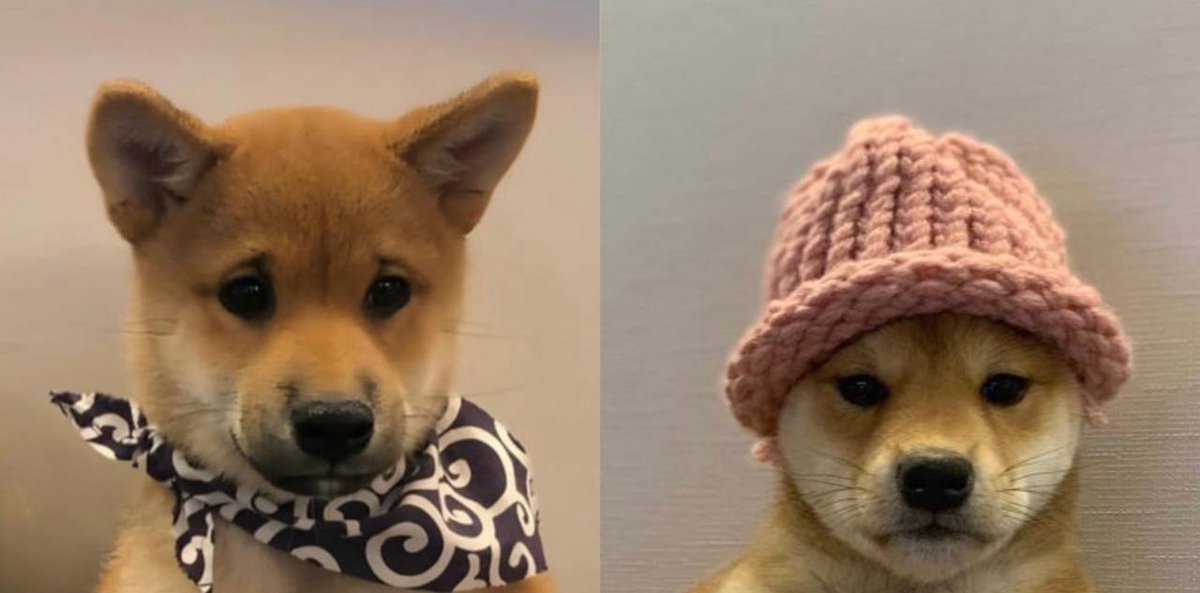 BlockChainBenji tweet media