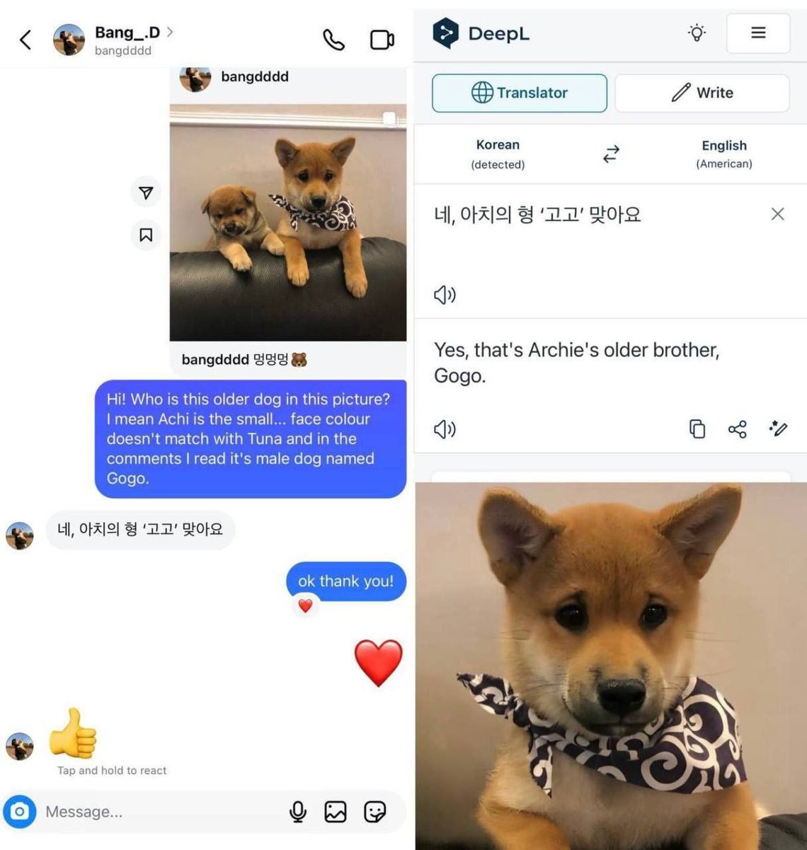 BlockChainBenji tweet media