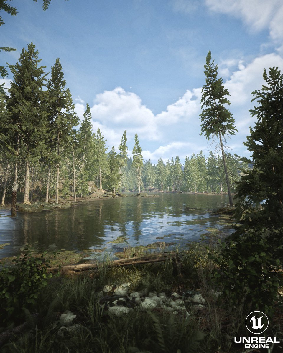 scionti_design's tweet photo. WIP NO Lumen NO Raytrace 
My forest scene project
Lighting with Ultra Dynamic Sky using
Physical Base Values for Cloudy Condition
Unreal Engine 5.5.3 Nanite and AO and SSR
https://t.co/D2ZNXwJ7ve
#ue5 #UnrealEngine5 #unrelengine #realism #lighting #forest #nanite #UDS #quixel 
@UnrealEngine @ArtStationHQ @80Level @quixeltools