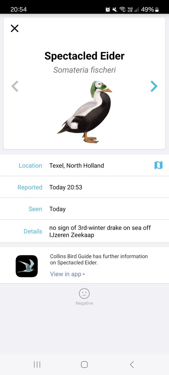 David dack tweet media