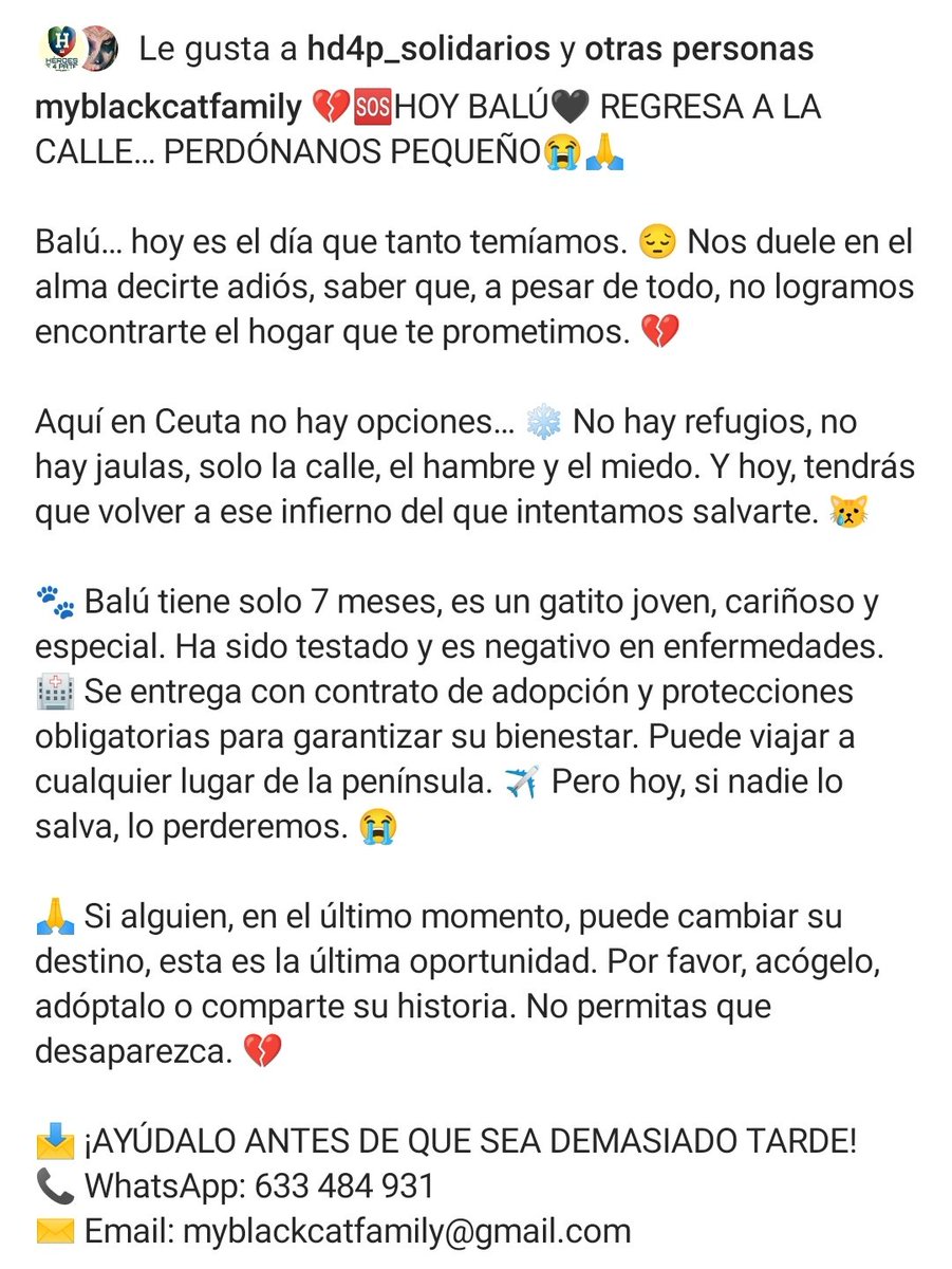 MUY URGENTE ‼️
UN HOGAR PARA BALÚ, ANTES DE QUE SEA DEMASIADO TARDE, POR FAVOR ‼️🙏🏻🥺🐾
BALÚ VUELVE A LA CALLE Y ES MUY BUENO Y CARIÑOSO. 🙏🏻🥺🐾