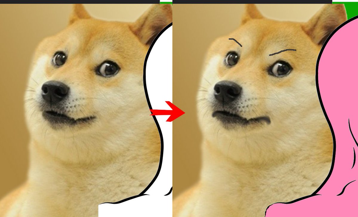 coinchewer's tweet photo. #crypto #altseason #happiness i've found the hack. just draw angry eyebrows onto doge.
don't use mine. don't use a properly edited one.
find an original #doge &amp; draw angry eyebrows on him. it's beautiful. https://t.co/gYcqIOHEqM