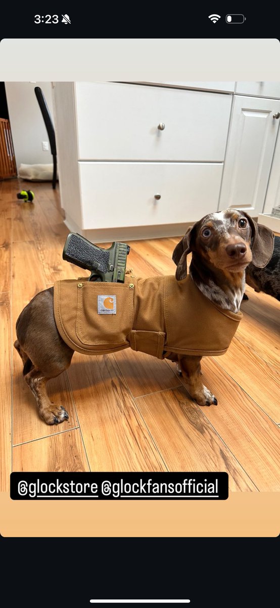 States don’t require carry permits for wieners