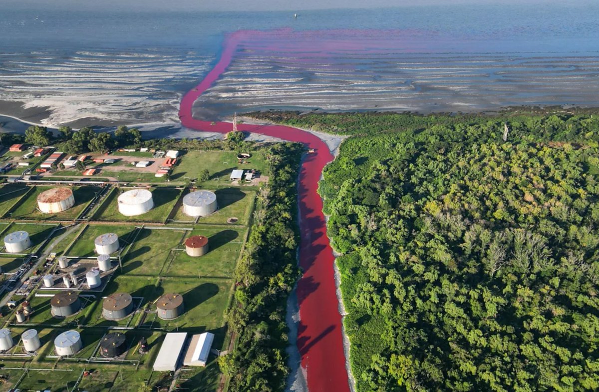 Last time I checked, waterways aren't supposed to be RED! The Sarandí Canal in Buenos Aires flows through industrial zones - turning a shocking red as it meets the Rio de la Plata near an ecological reserve. More chemical waste killing natural ecosystems.