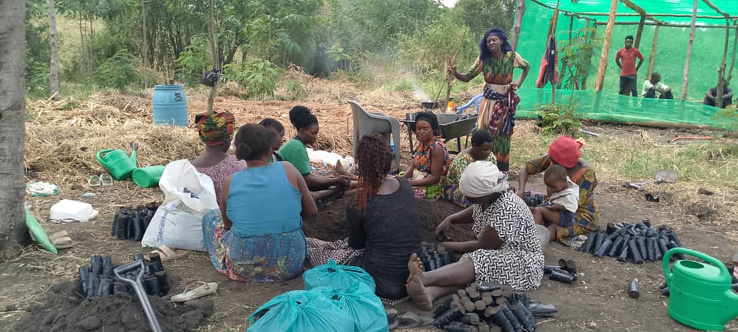 As We Continue to come up with means to restore the environment, today community members of Kakindo in Karugutu subcounty <a href="/NtorokoD/">NTOROKO DLG</a> were supported to erect a community tree nursery bed and and also to pot indigenous tree species. <a href="/NLinUganda/">Embassy of the Netherlands in Uganda</a> <a href="/WURenvironment/">WUR Environmental</a> <a href="/ISSDUganda/">ISSD Uganda</a> <a href="/Aidug2007/">Albertine Interventions for Development (AID)</a>