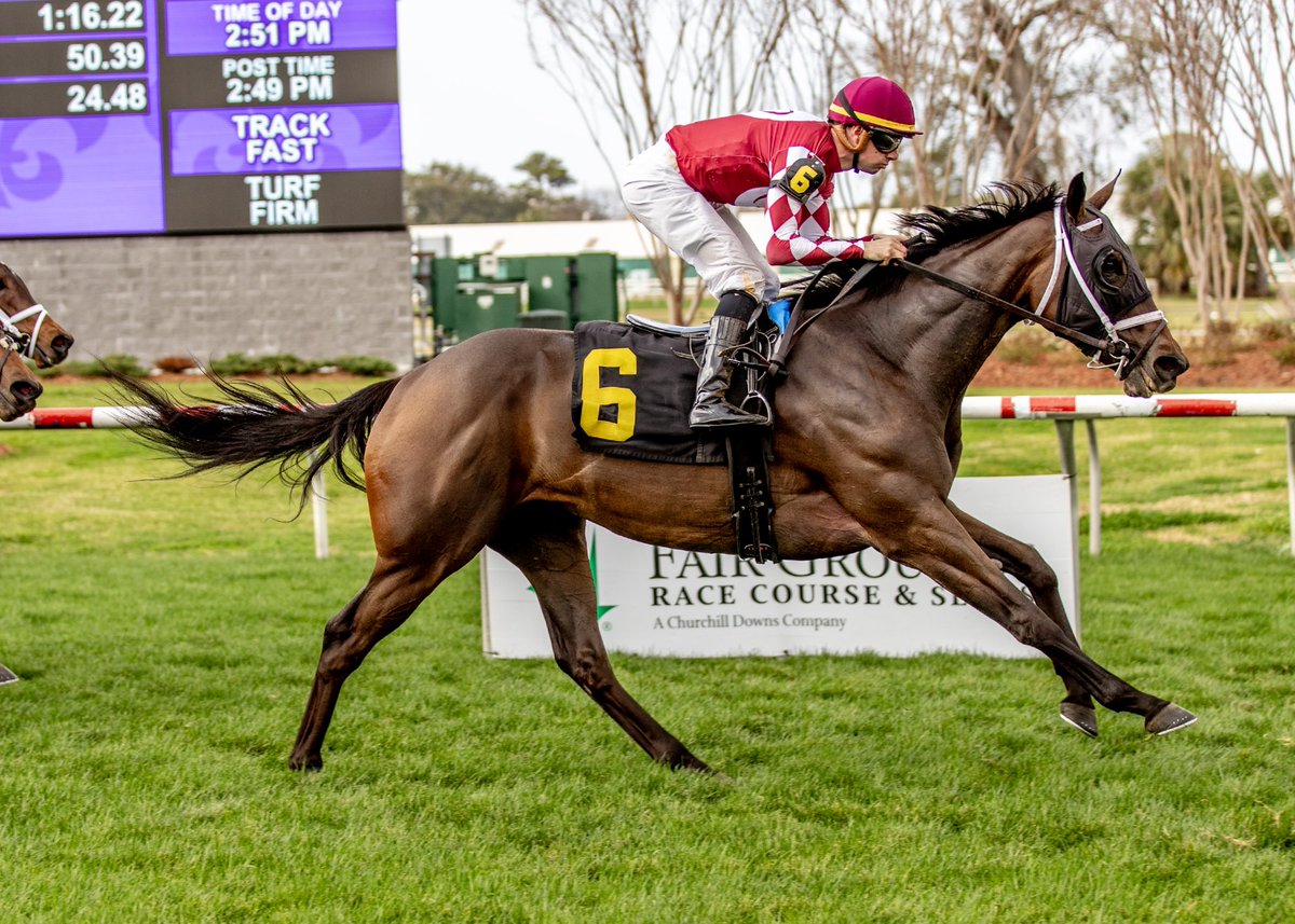 FIONN (Twirling Candy o/o Giant’s Causeway mare) is a “filly on the rise!” Rallies to win back-to-back <a href="/fairgroundsnola/">Fair Grounds Race Course & Slots</a> after a debut 2nd <a href="/HSIndyRacing/">Horseshoe Indianapolis Race Course</a> in September. The 3yo with <a href="/flothejock/">Florent Geroux</a> for <a href="/bradcoxracing/">Brad H. Cox Racing</a> and owners George Messina &amp; Michael Lee seems catered to this course.