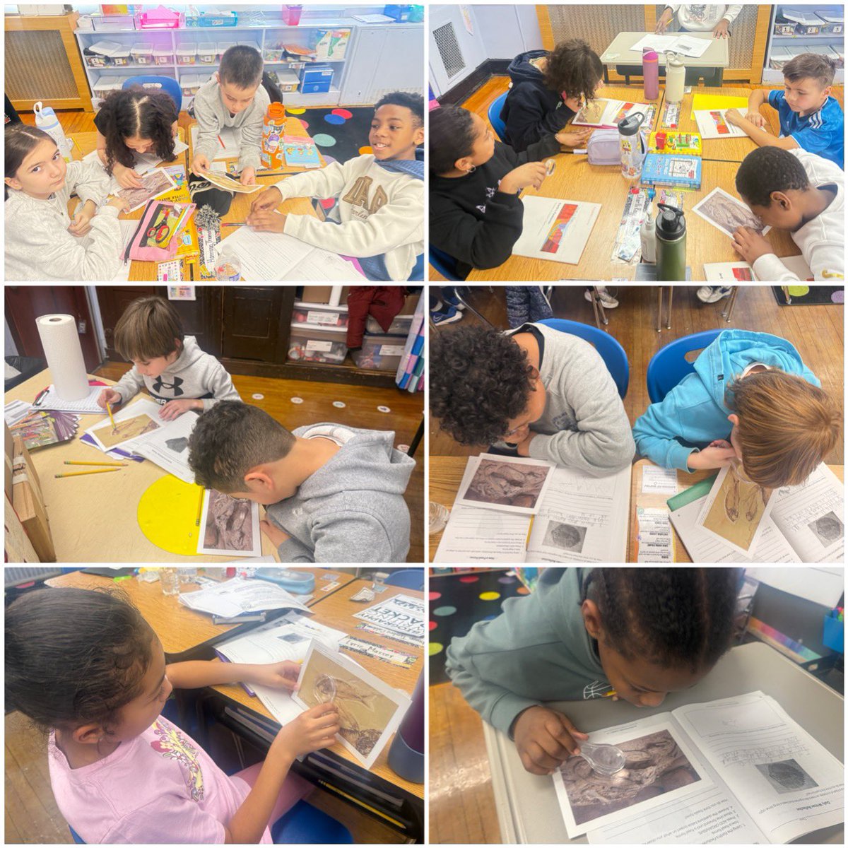 Ms. Lindsay Beaumont tweet media