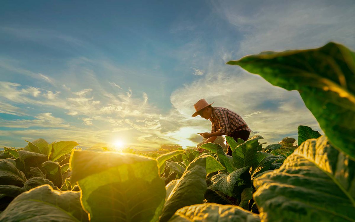 #Nacionales | MAG renueva portal de información del Sector Agropecuario

#PeriódicoMensaje #Guanacaste #CostaRica #InfoAgro #Agropecuario #SectorAgropecuario #MAGCostaRica #AgriculturaSostenible

periodicomensaje.com/guanacaste/130…
