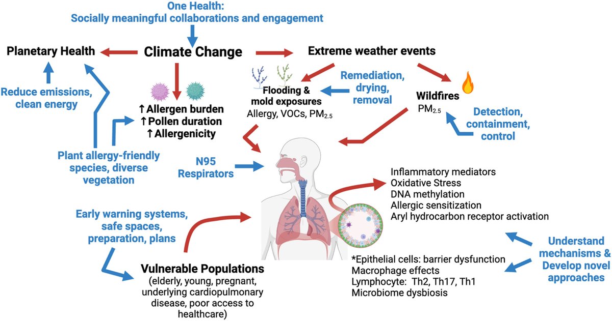 The February theme issue on “Climate Change and the Practice of Allergy/Immunology” is now online! Read an editorial on the theme issue that provides an overview of the negative health consequences of climate change and interventions to mitigate them here: buff.ly/4aOzDWG