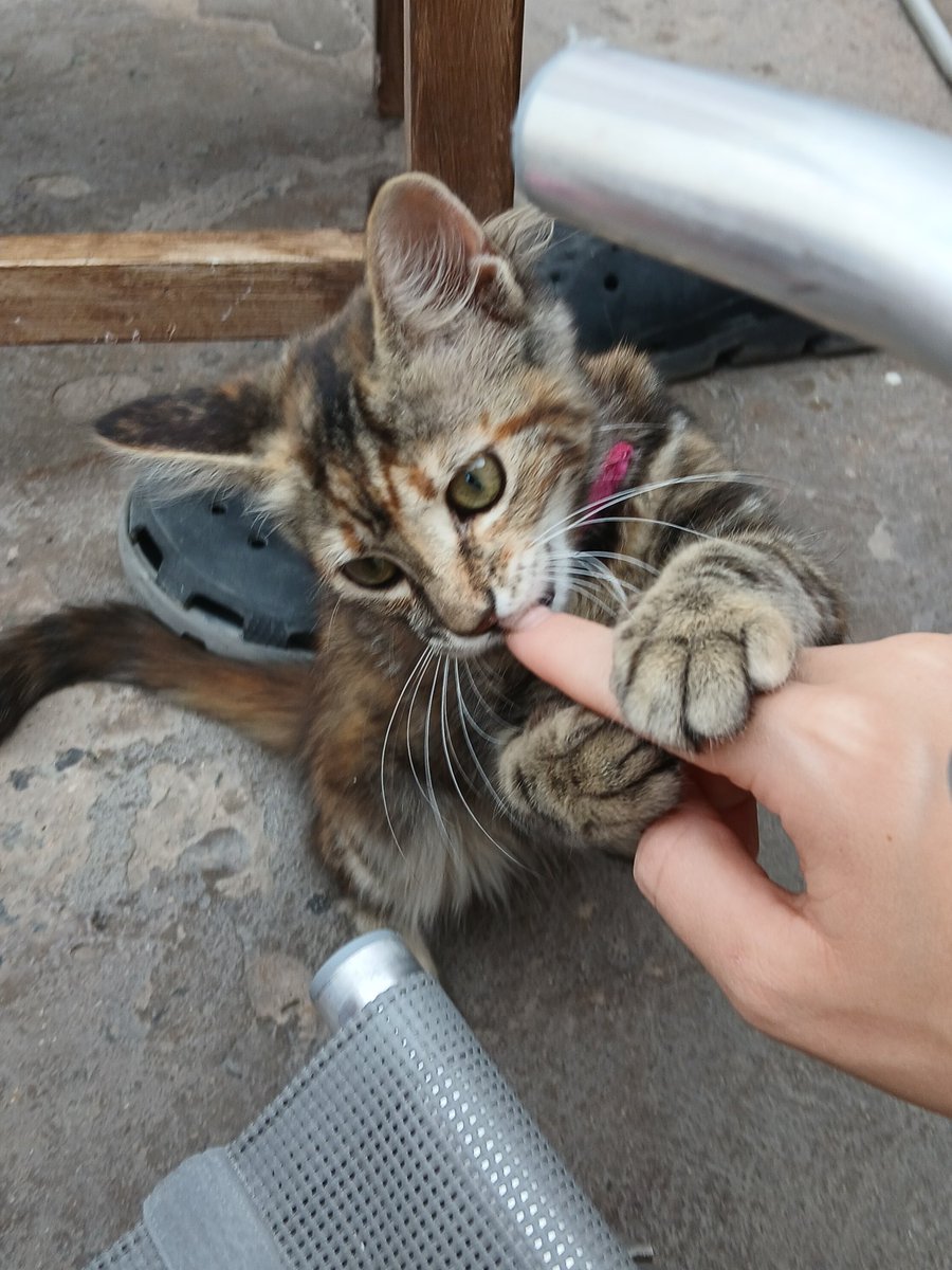 💘