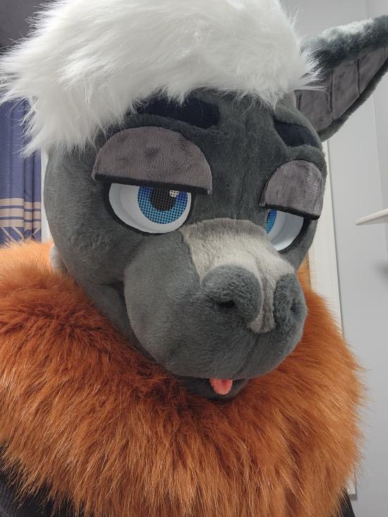 Soots is here!!!
Very big thank yous to <a href="/FoxesBoxesSuits/">Foxes in Boxes Fursuits (FoxesinBoxes.bsky.social)</a> 
Who did absolutely amazing making my boy!
The bestest!💜